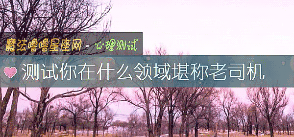 测试你在什么领域堪称老司机