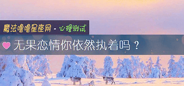 无果恋情你依然执着吗？