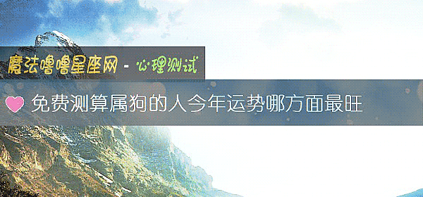 免费测算属狗的人今年运势哪方面最旺