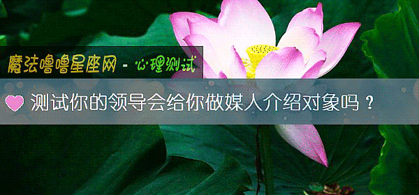 测试你的领导会给你做媒人介绍对象吗？