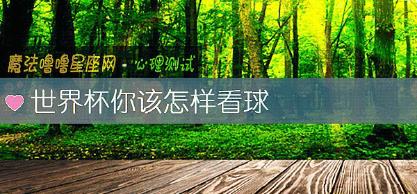 世界杯你该怎样看球