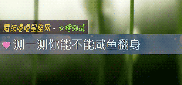 测一测你能不能咸鱼翻身
