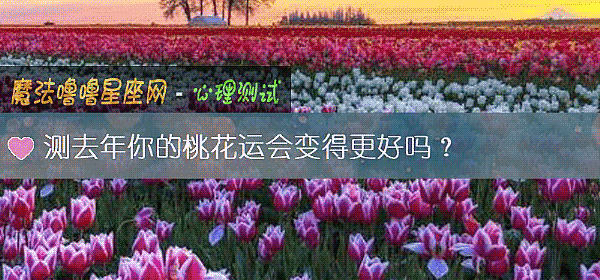 测去年你的桃花运会变得更好吗？
