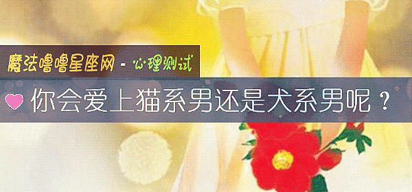 你会爱上猫系男还是犬系男呢？