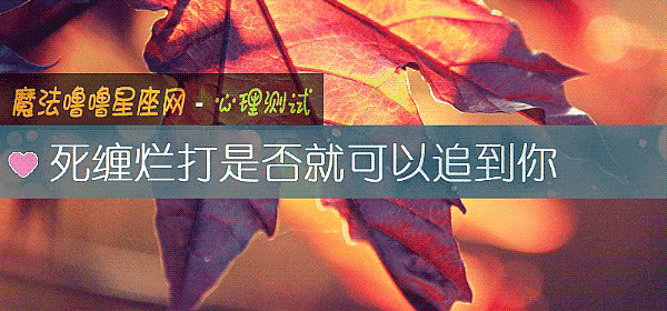 死缠烂打是否就可以追到你