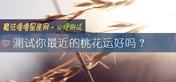 测试你最近的桃花运好吗？