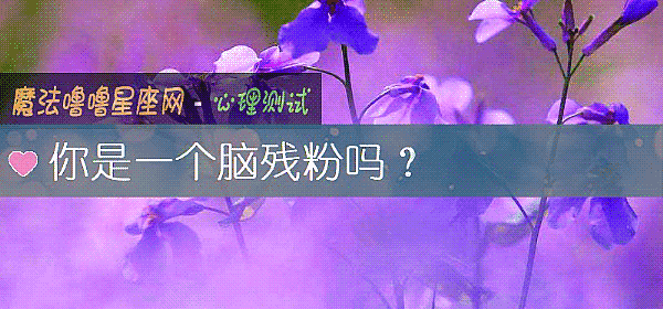 你是一个脑残粉吗？