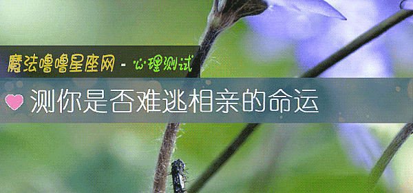 测你是否难逃相亲的命运