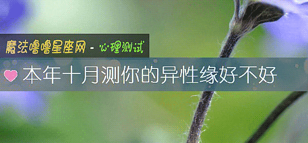 本年十月测你的异性缘好不好