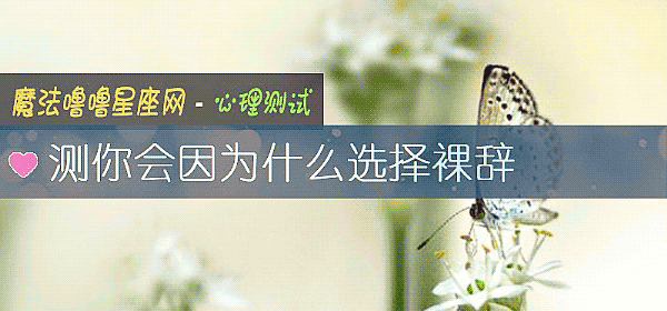 测你会因为什么选择裸辞