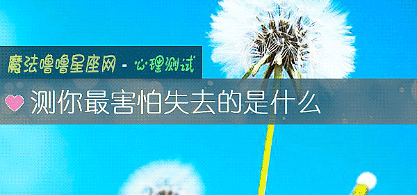 测你最害怕失去的是什么