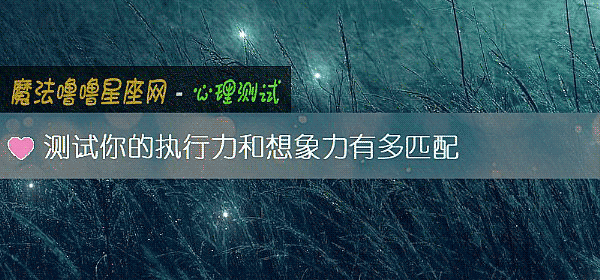 测试你的执行力和想象力有多匹配