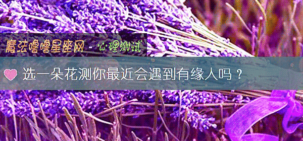 选一朵花测你最近会遇到有缘人吗?