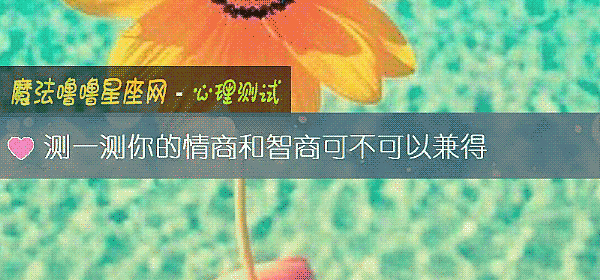 测一测你的情商和智商可不可以兼得