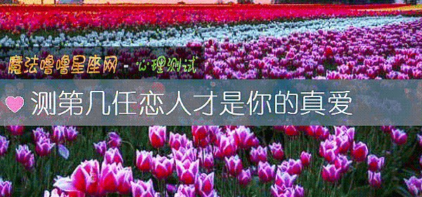 测第几任恋人才是你的真爱