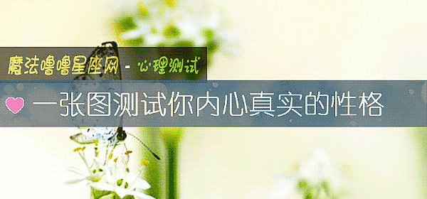 一张图测试你内心真实的性格