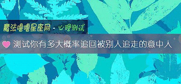 测试你有多大概率追回被别人追走的意中人