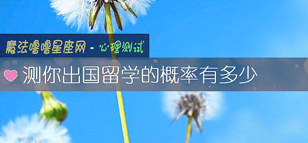 测你出国留学的概率有多少