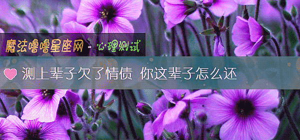 测上辈子欠了情债 你这辈子怎么还