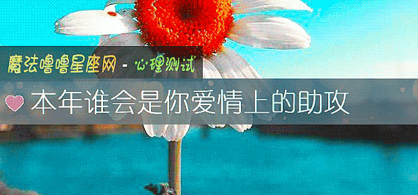本年谁会是你爱情上的助攻