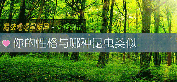你的性格与哪种昆虫类似