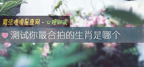 测试你最合拍的生肖是哪个