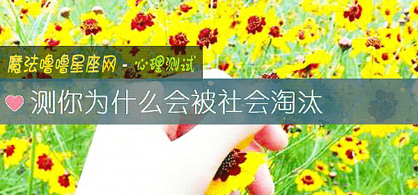 测你为什么会被社会淘汰