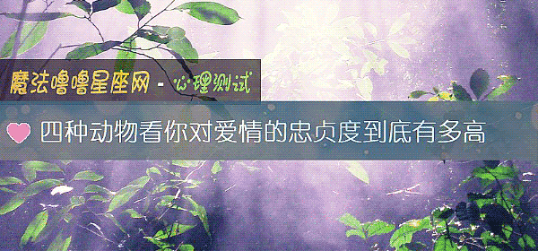 四种动物看你对爱情的忠贞度到底有多高