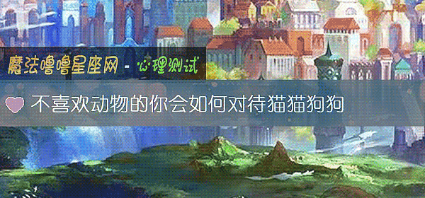 不喜欢动物的你会如何对待猫猫狗狗