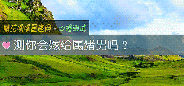 测你会嫁给属猪男吗？