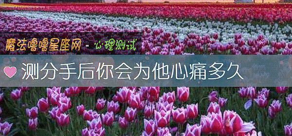 测分手后你会为他心痛多久