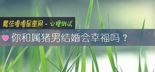 你和属猪男结婚会幸福吗？