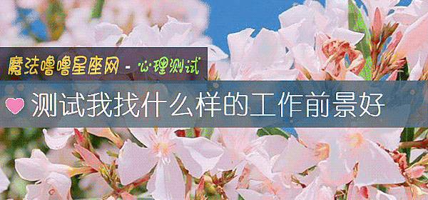 测试我找什么样的工作前景好
