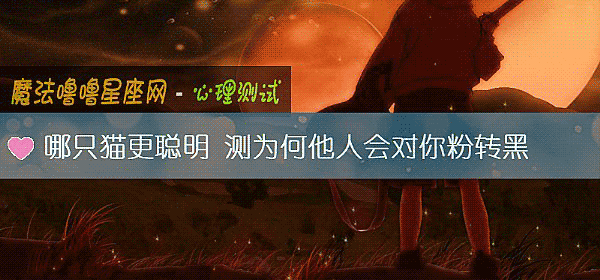 哪只猫更聪明 测为何他人会对你粉转黑