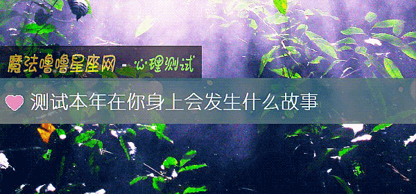 测试本年在你身上会发生什么故事