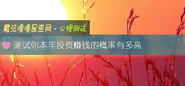 测试你本年投资赚钱的概率有多高
