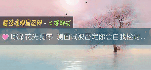 哪朵花先凋零 测面试被否定你会自我检讨吗？