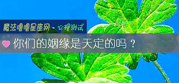 你们的姻缘是天定的吗？