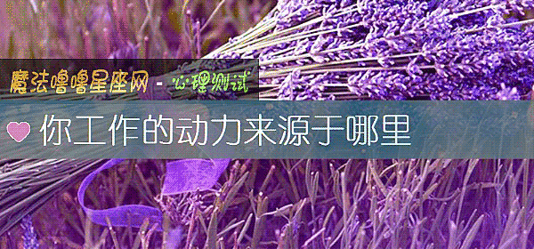 你工作的动力来源于哪里