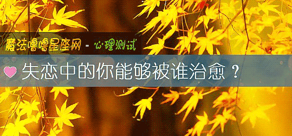 失恋中的你能够被谁治愈？