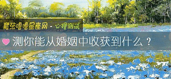 测你能从婚姻中收获到什么？