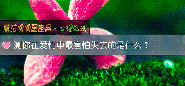 测你在爱情中最害怕失去的是什么？