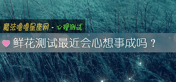 鲜花测试最近会心想事成吗？