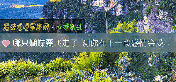 哪只蝴蝶要飞走了 测你在下一段感情会受伤吗？