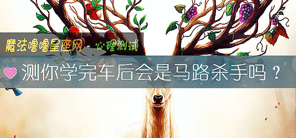 测你学完车后会是马路杀手吗？