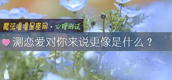 测恋爱对你来说更像是什么？