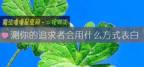 测你的追求者会用什么方式表白