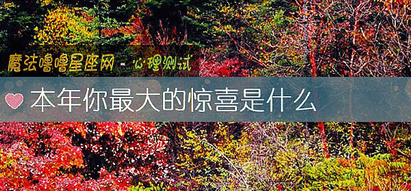 本年你最大的惊喜是什么