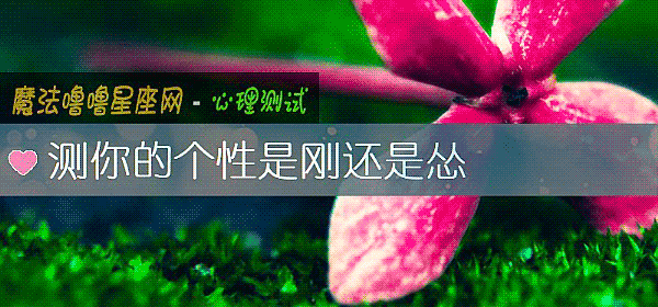 测你的个性是刚还是怂