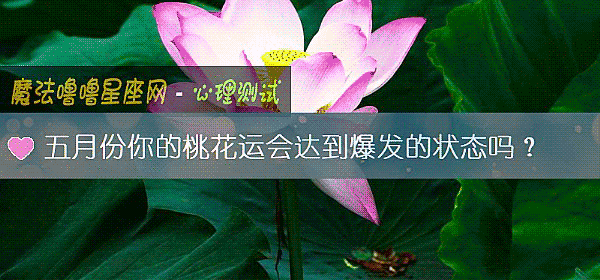 五月份你的桃花运会达到爆发的状态吗？